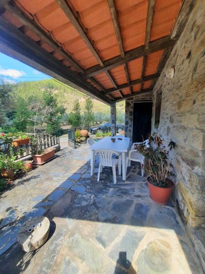Casa Penafalcao Castelo Branco  Zewnętrze zdjęcie
